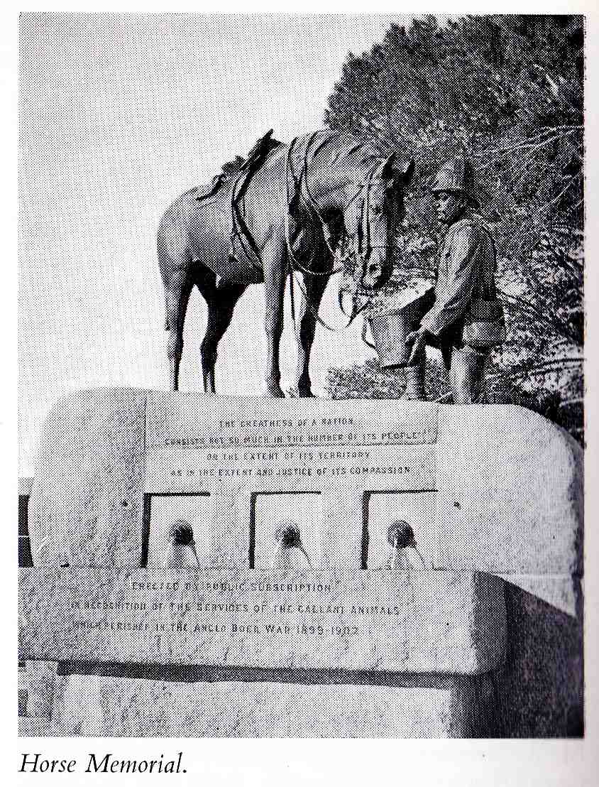 PE  horse memorial